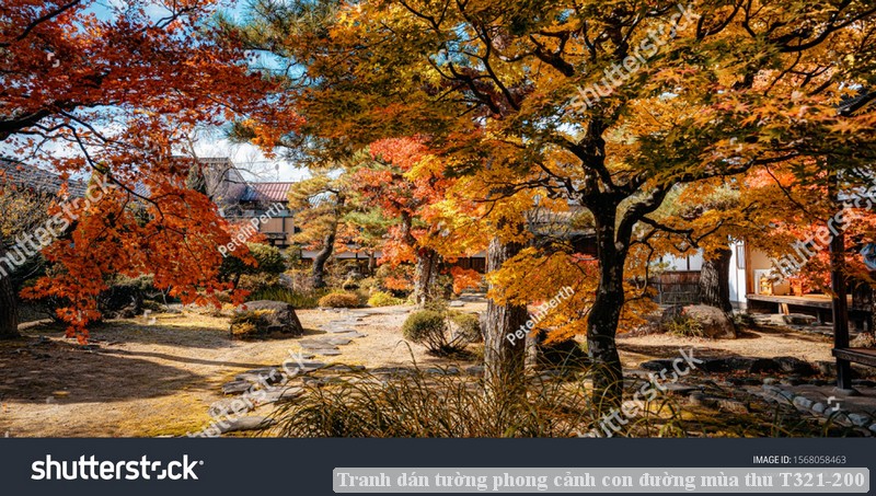 Tranh dán tường phong cảnh con đường mùa thu T321-200